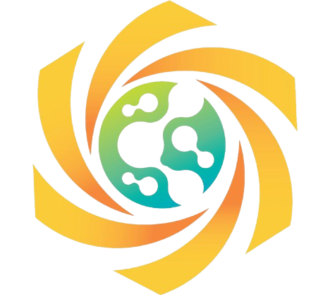 ANS Logo